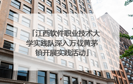 江西软件职业技术大学实践队深入万载黄茅镇开展实践活动