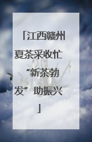 江西赣州夏茶采收忙 “新茶勃发”助振兴