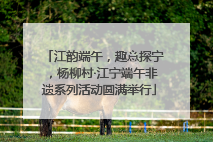 江韵端午，趣意探宁，杨柳村·江宁端午非遗系列活动圆满举行