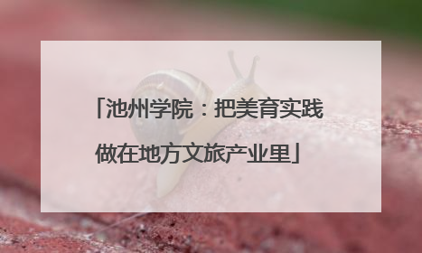 池州学院：把美育实践做在地方文旅产业里