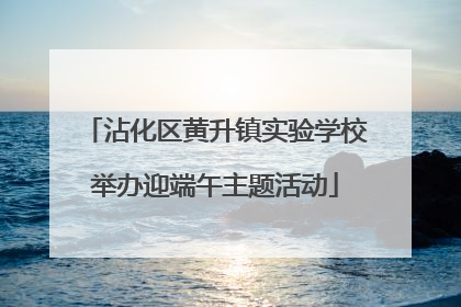 沾化区黄升镇实验学校举办迎端午主题活动