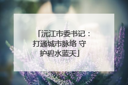 沅江市委书记：打通城市脉络 守护碧水蓝天