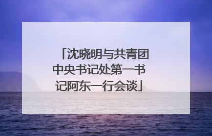 沈晓明与共青团中央书记处第一书记阿东一行会谈