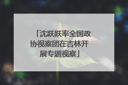沈跃跃率全国政协视察团在吉林开展专题视察