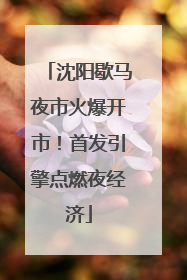 沈阳歇马夜市火爆开市！首发引擎点燃夜经济
