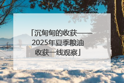 沉甸甸的收获——2025年夏季粮油收获一线观察