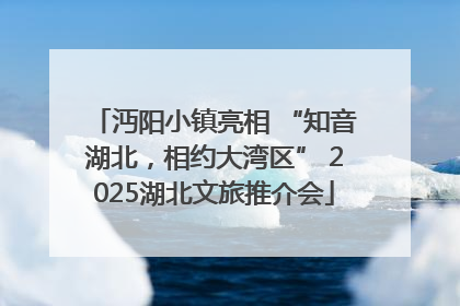 沔阳小镇亮相 “知音湖北，相约大湾区” 2025湖北文旅推介会