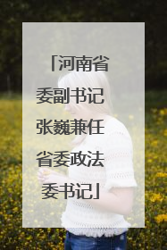 河南省委副书记张巍兼任省委政法委书记