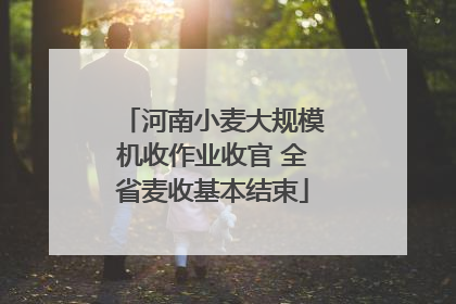 河南小麦大规模机收作业收官 全省麦收基本结束