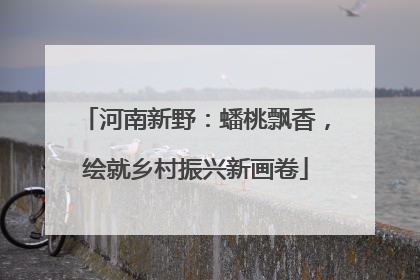 河南新野：蟠桃飘香，绘就乡村振兴新画卷