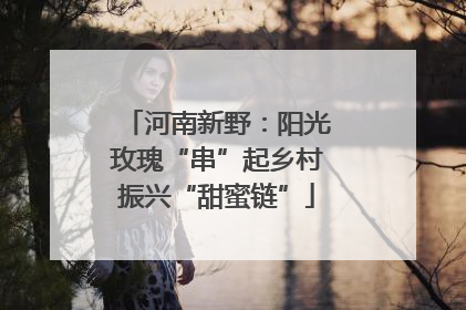河南新野：阳光玫瑰“串”起乡村振兴“甜蜜链”