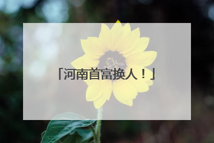 河南首富换人！