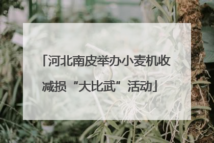 河北南皮举办小麦机收减损“大比武”活动