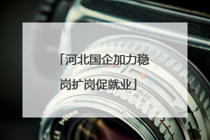 河北国企加力稳岗扩岗促就业