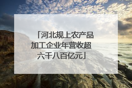 河北规上农产品加工企业年营收超六千八百亿元