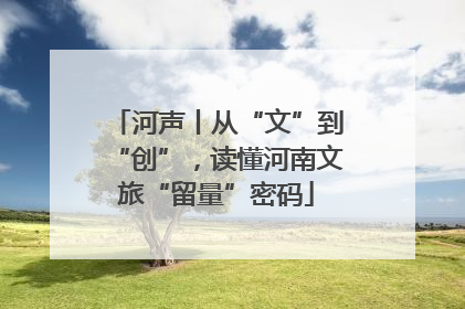 河声丨从“文”到“创”，读懂河南文旅“留量”密码