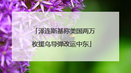 泽连斯基称美国两万枚援乌导弹改运中东