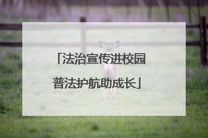 法治宣传进校园 普法护航助成长