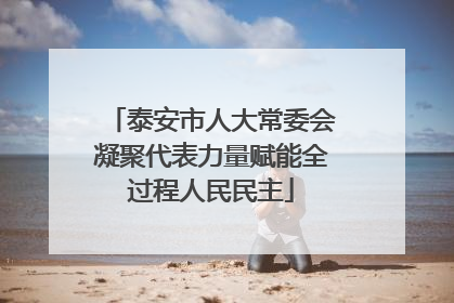泰安市人大常委会凝聚代表力量赋能全过程人民民主