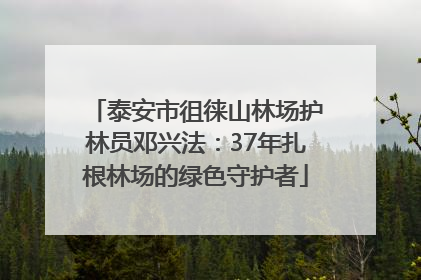 泰安市徂徕山林场护林员邓兴法：37年扎根林场的绿色守护者