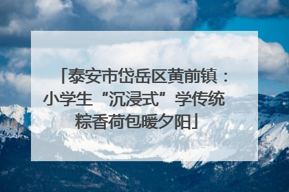 泰安市岱岳区黄前镇：小学生“沉浸式”学传统 粽香荷包暖夕阳