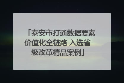 泰安市打通数据要素价值化全链路 入选省级改革精品案例
