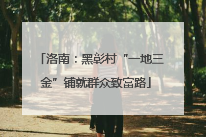 洛南：黑彰村“一地三金”铺就群众致富路