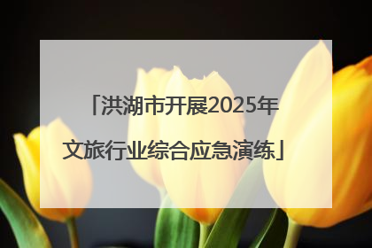 洪湖市开展2025年文旅行业综合应急演练