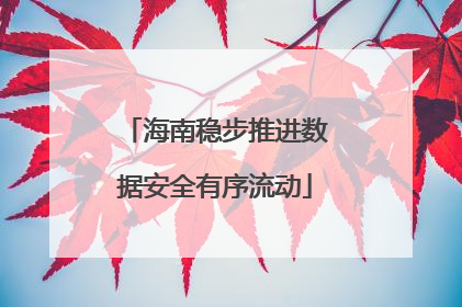 海南稳步推进数据安全有序流动