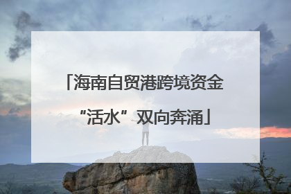 海南自贸港跨境资金“活水”双向奔涌