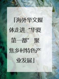 海外华文媒体走进“华夏第一都” 聚焦乡村特色产业发展