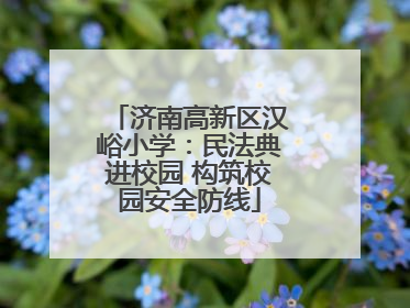 济南高新区汉峪小学：民法典进校园 构筑校园安全防线