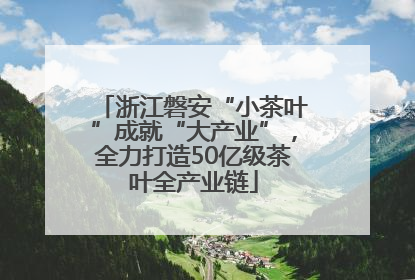 浙江磐安“小茶叶”成就“大产业”，全力打造50亿级茶叶全产业链