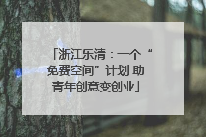 浙江乐清：一个“免费空间”计划 助青年创意变创业