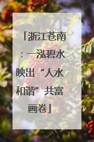 浙江苍南：一泓碧水映出“人水和谐”共富画卷