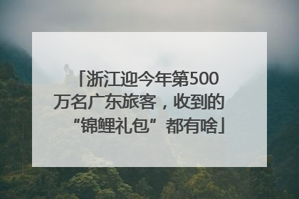 浙江迎今年第500万名广东旅客，收到的“锦鲤礼包”都有啥