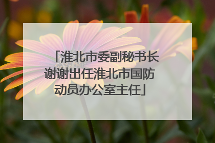 淮北市委副秘书长谢谢出任淮北市国防动员办公室主任