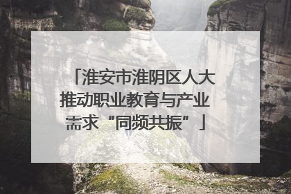 淮安市淮阴区人大推动职业教育与产业需求“同频共振”