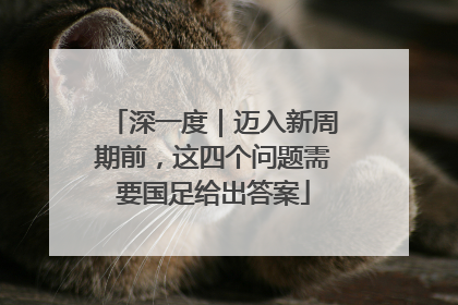 深一度｜迈入新周期前，这四个问题需要国足给出答案
