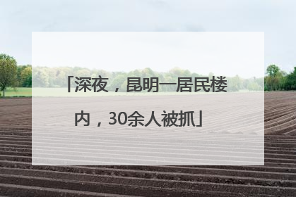 深夜，昆明一居民楼内，30余人被抓