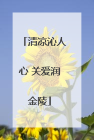 清凉沁人心 关爱润金陵