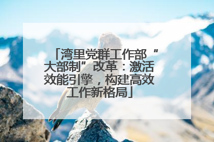 湾里党群工作部“大部制”改革：激活效能引擎，构建高效工作新格局