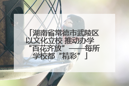 湖南省常德市武陵区以文化立校 推动办学“百花齐放”——每所学校都“精彩”