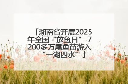 湖南省开展2025年全国“放鱼日” 7200多万尾鱼苗游入“一湖四水”