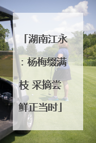湖南江永：杨梅缀满枝 采摘尝鲜正当时