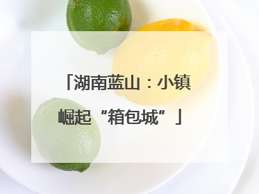 湖南蓝山：小镇崛起“箱包城”