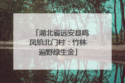 湖北省远安县鸣凤镇北门村:竹林遍野绿生金