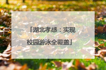 湖北孝感：实现校园游泳全覆盖