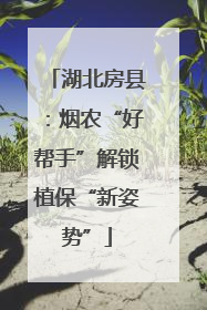 湖北房县：烟农“好帮手”解锁植保“新姿势”