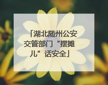 湖北随州公安交管部门“摆摊儿”话安全